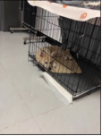 治疗结果